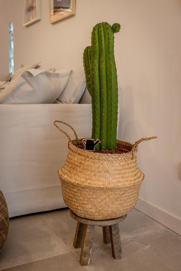 فيلا Flatguest Orinoco + Pool + Terrace + Garden Mogán المظهر الخارجي الصورة